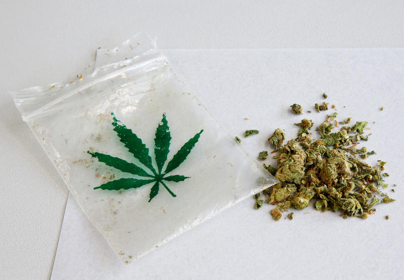 s:42:"Cannabis-Anbau in Niedersachsen wird legal";