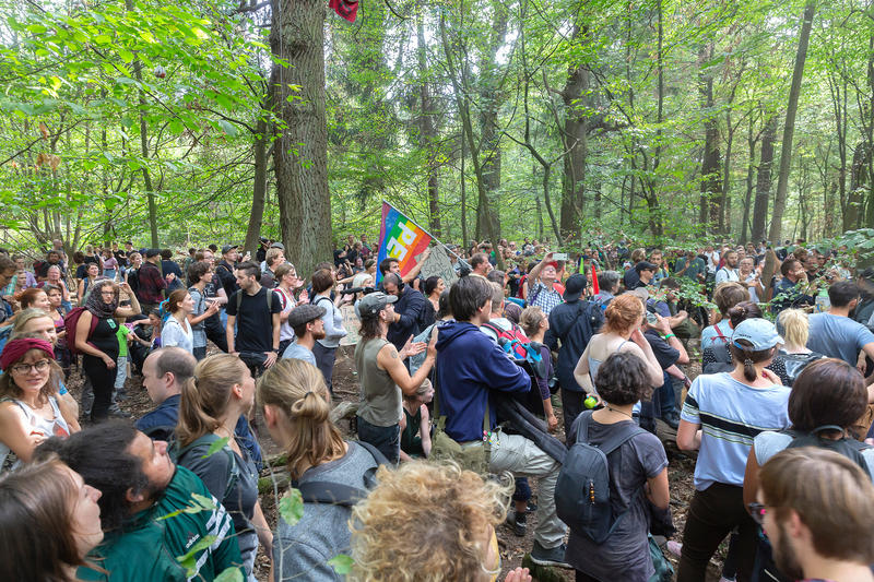 s:67:"Proteste im Jahr 2018 im Hambacher Forst für den Erhalt des Waldes";