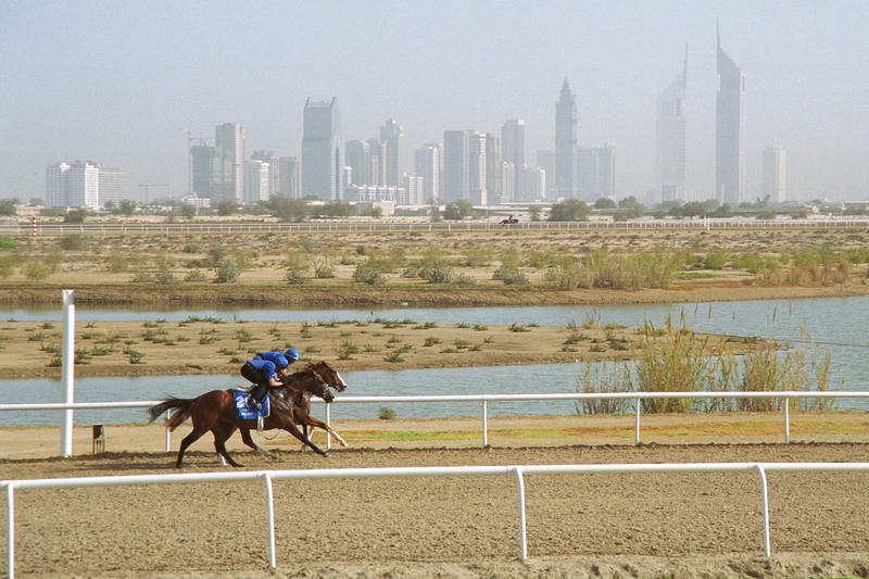 s:17:"Skyline von Dubai";