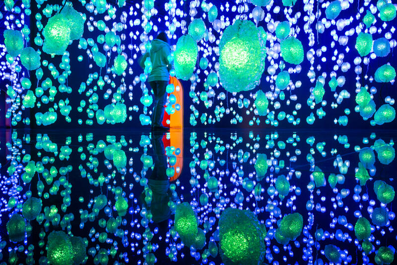 s:83:"Kunsthalle Bremen praesentiert "Pixelwald" der Schweizer Kuenstlerin Pipilotti Rist";